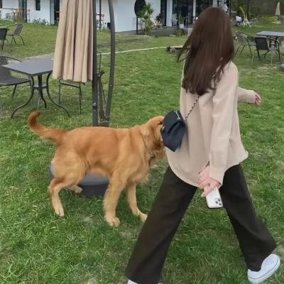 腹中甜海报