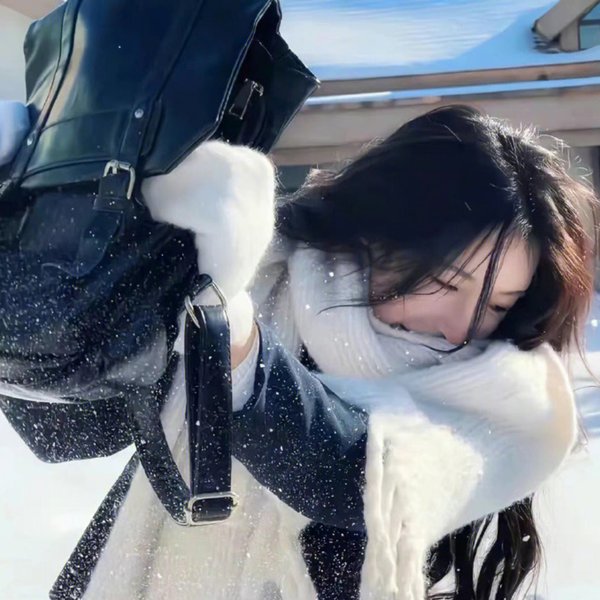 晚安机遇号海报